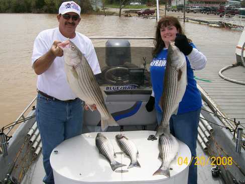 Nice Striped Bass