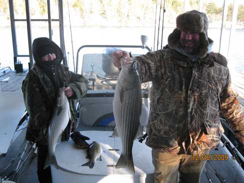 Nice Striped Bass