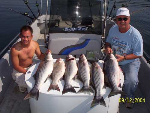 Nice Striped Bass