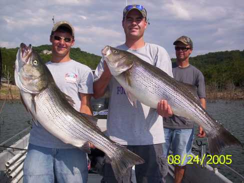 Nice Striped Bass