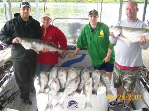 Nice Striped Bass