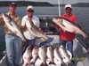 (08/14/2004) - Nice Striped Bass