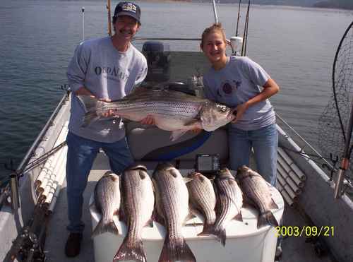 Nice Striped Bass