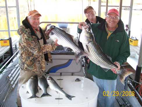 Nice Striped Bass