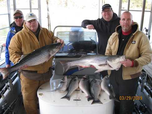 Nice Striped Bass