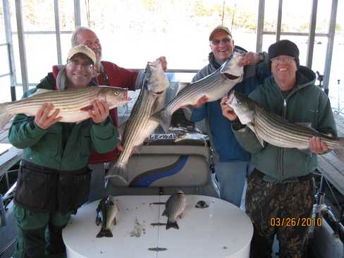 Nice Striped Bass