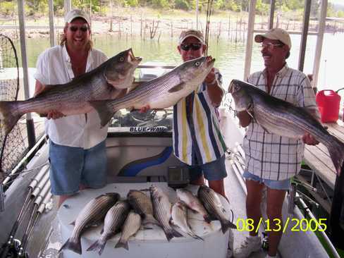 Nice Striped Bass