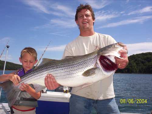 Nice Striped Bass