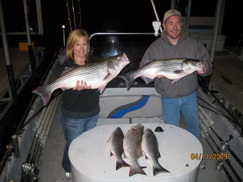 Nice Striped Bass