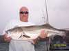 (07/23/2004) - Nice Striped Bass