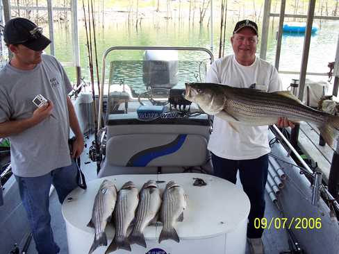 Nice Striped Bass