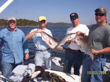 Nice Striped Bass