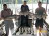 (07/03/2008) - Nice Striped Bass