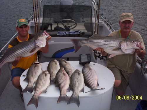 Nice Striped Bass