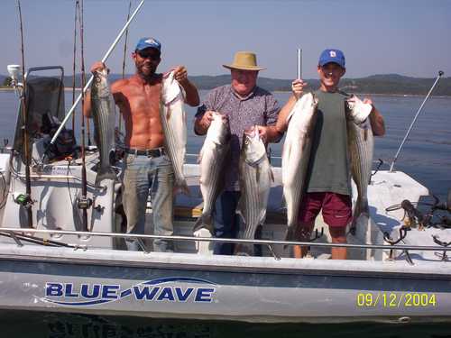 Nice Striped Bass