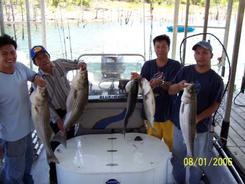 Nice Striped Bass