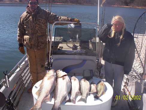 Nice Striped Bass