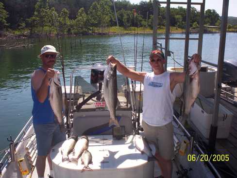 Nice Striped Bass