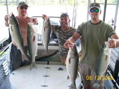 Nice Striped Bass