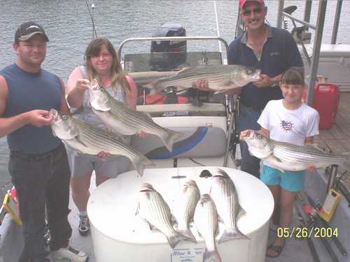 Nice Striped Bass