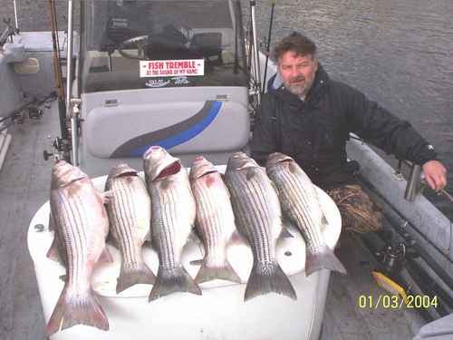 Nice Striped Bass