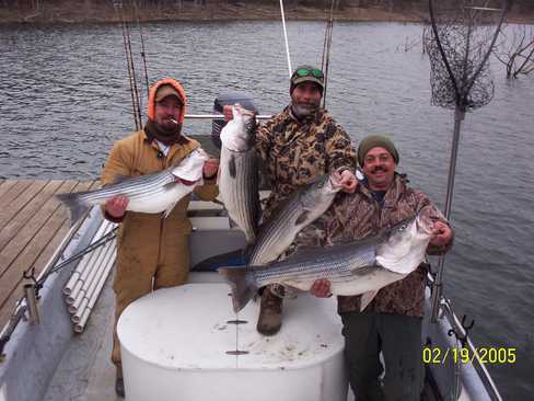 Nice Striped Bass