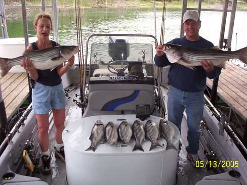 Nice Striped Bass