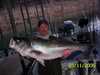 (03/11/2006) - Nice Striped Bass