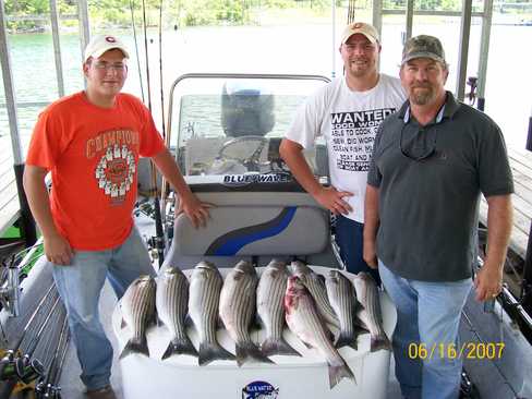 Nice Striped Bass