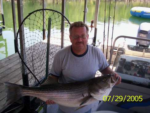 Nice Striped Bass