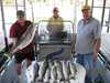 (07/18/2009) - Nice Striped Bass