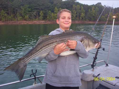 Nice Striped Bass