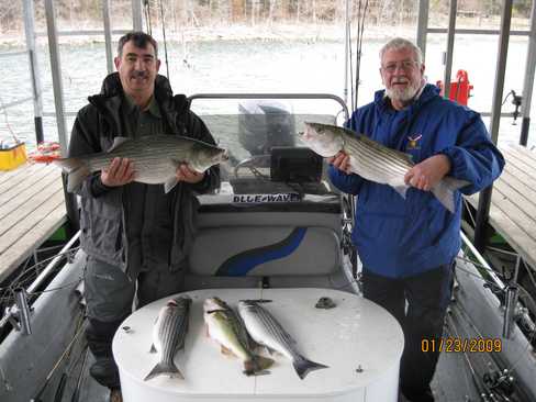 Nice Striped Bass