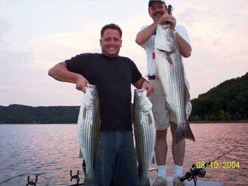 Nice Striped Bass