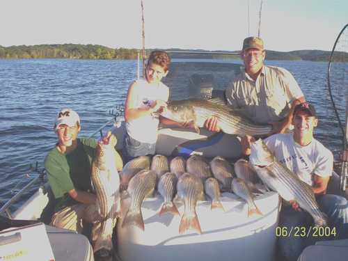 Nice Striped Bass