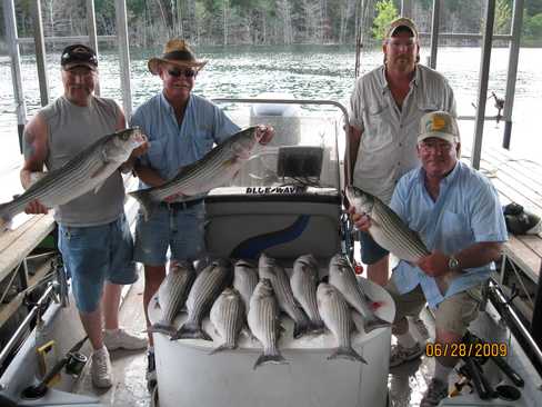 Nice Striped Bass