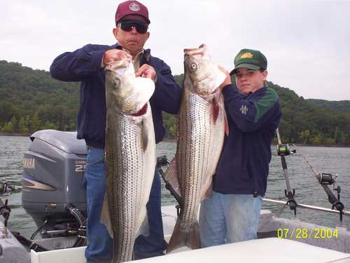 Now that is a Hog Striper