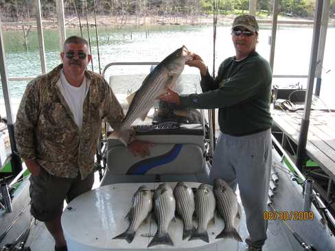 Nice Striped Bass