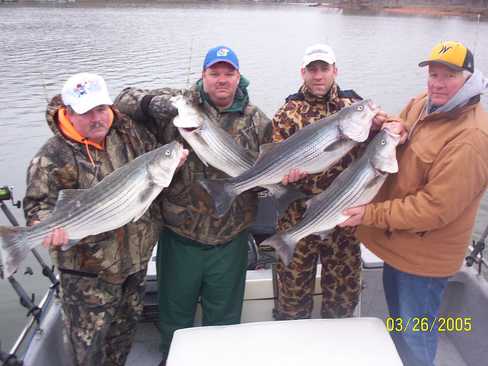 Nice Striped Bass