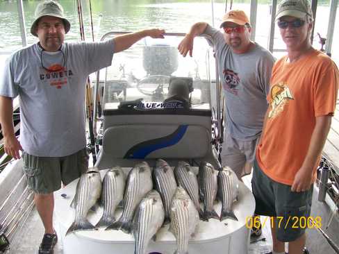 Nice Striped Bass