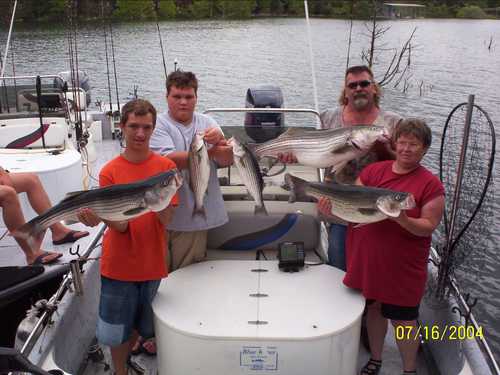 Nice Striped Bass