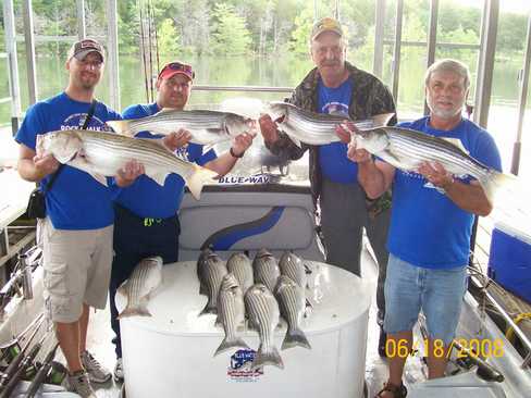 Nice Striped Bass