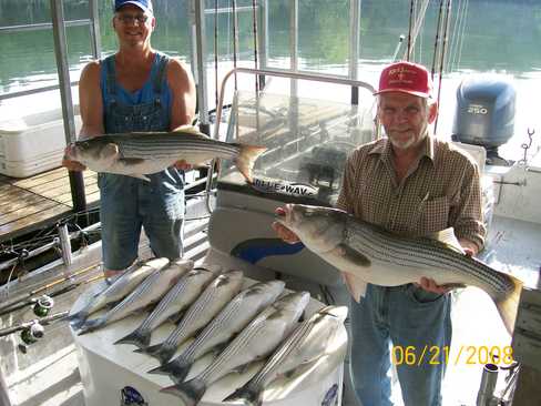 Nice Striped Bass