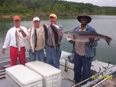 Nice Striped Bass