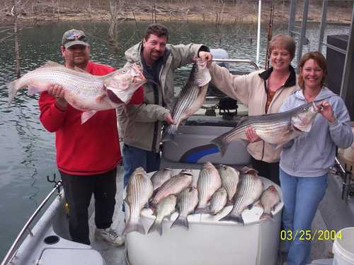 Nice Striped Bass