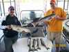 (10/10/2008) - Nice Striped Bass