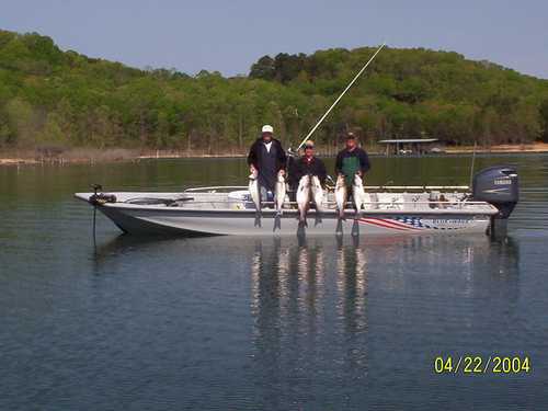 Nice Striped Bass