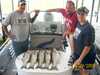 (06/29/2008) - Nice Striped Bass