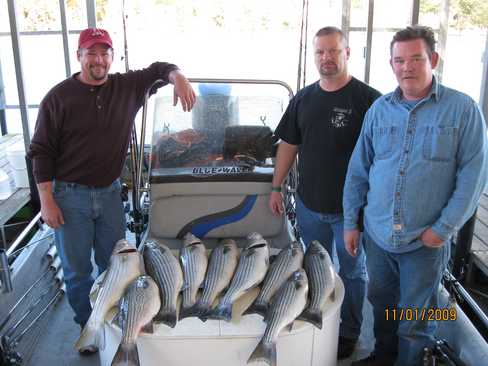 Nice Striped Bass