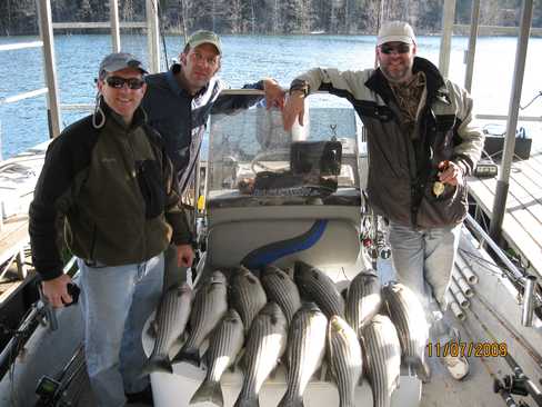 Nice Striped Bass